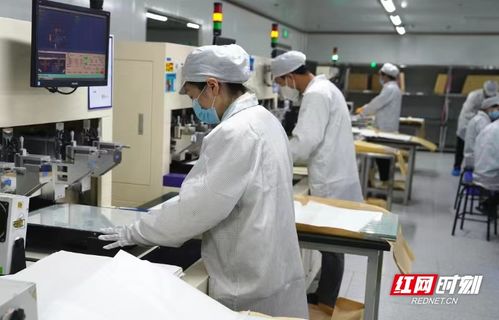 電子工匠展風采，勞務品牌促發展——冷水灘區以專業勞務品牌助力就業與產業雙贏